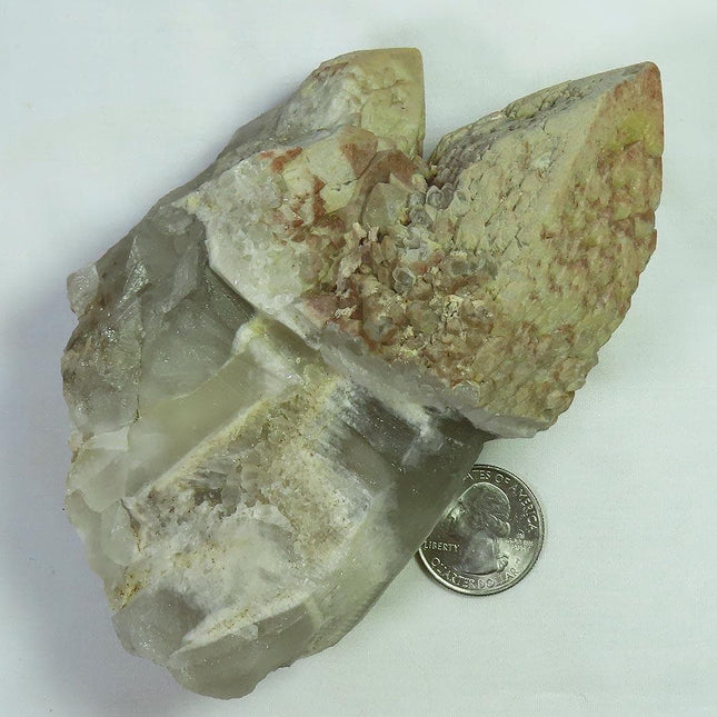 Sceptre Quartz Crystal Cluster from Brazil