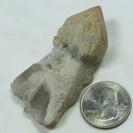 Sceptre Quartz Crystal Point from Brazil
