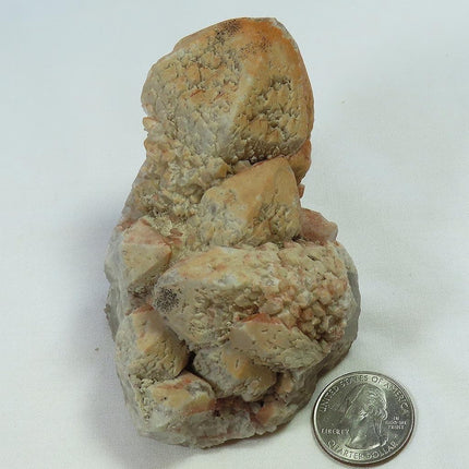 Sceptre Quartz Crystal Cluster from Brazil