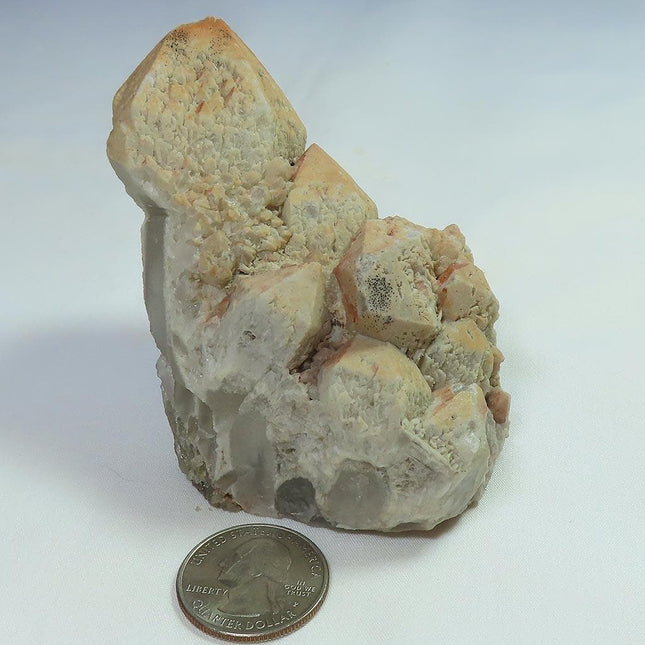 Sceptre Quartz Crystal Cluster from Brazil