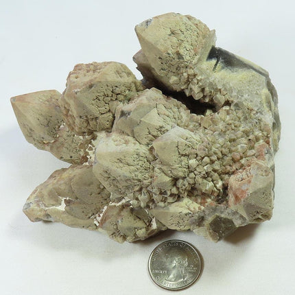Sceptre Quartz Crystal Cluster from Brazil