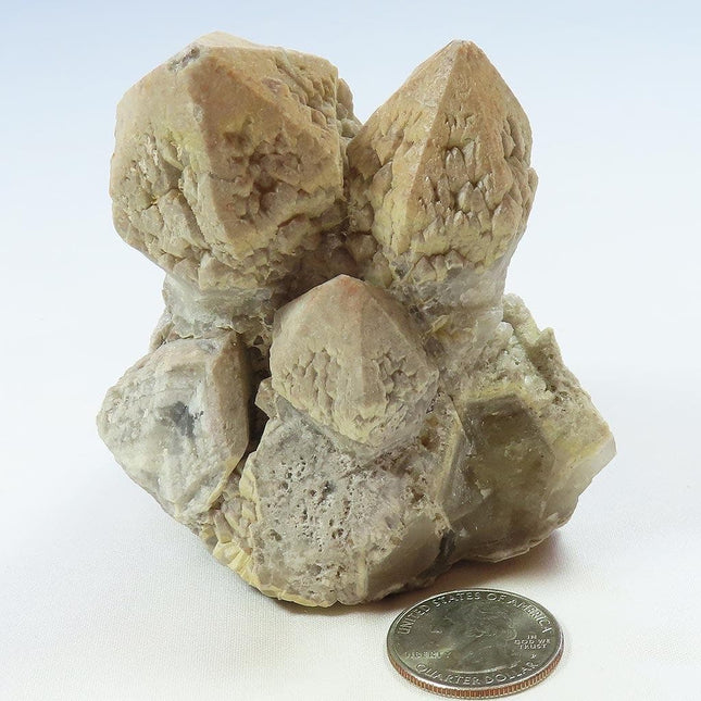 Sceptre Quartz Crystal Cluster from Brazil