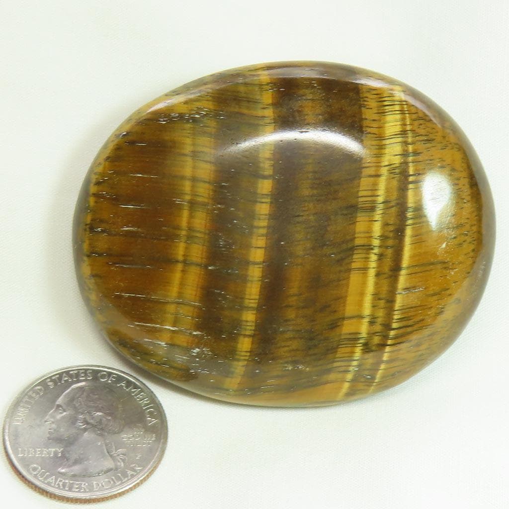 Polished Gold Tiger Eye Palm Stone from Central Africa
