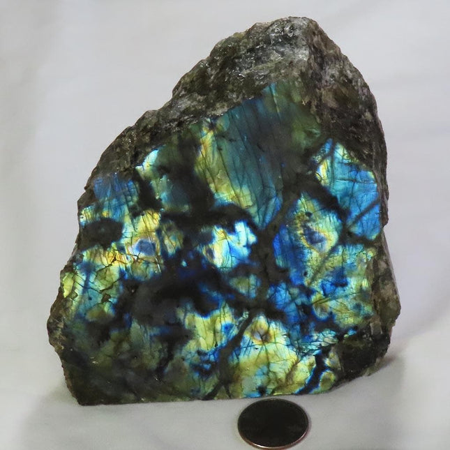 1 side Polished Slab of Labradorite from Madagascar