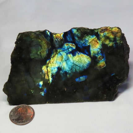 1 side Polished Slab of Labradorite from Madagascar