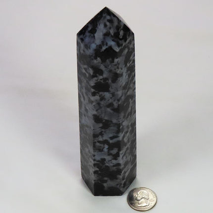  Large Polished Indigo Gabbro Generator Point from Madagascar