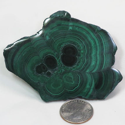Two Side Polished Malachite Slice from Democratic Republic of Congo