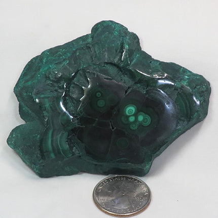 Two Side Polished Malachite Slice from Democratic Republic of Congo