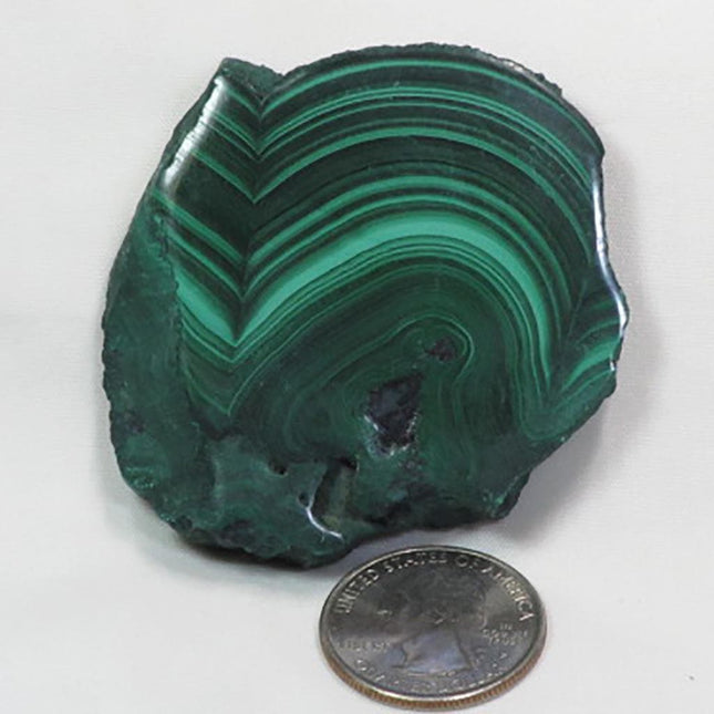 Two Side Polished Malachite Slice from Democratic Republic of Congo