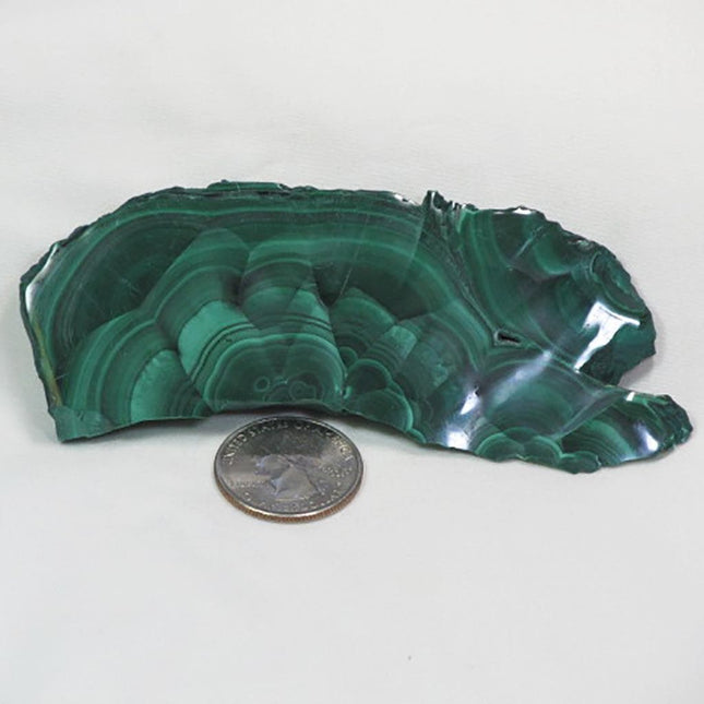Two Side Polished Malachite Slice from Democratic Republic of Congo