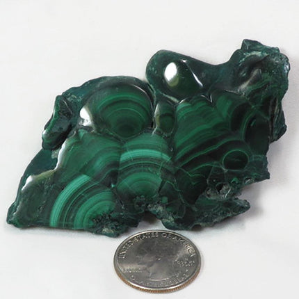 Two Side Polished Malachite Slice from Democratic Republic of Congo