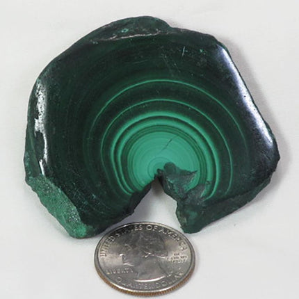 Two Side Polished Malachite Slice from Democratic Republic of Congo