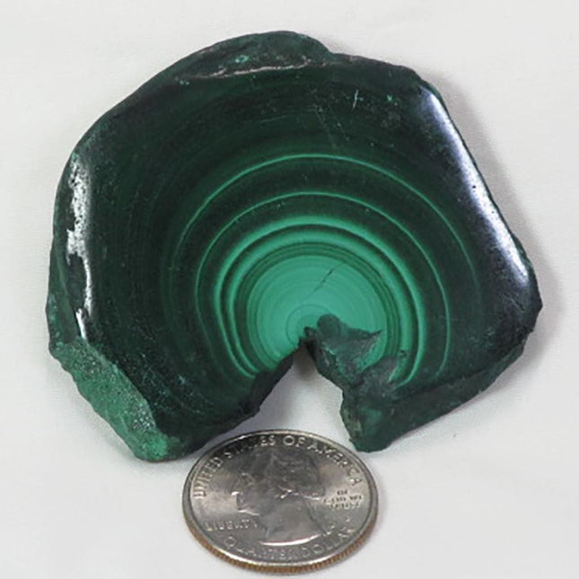 Two Side Polished Malachite Slice from Democratic Republic of Congo
