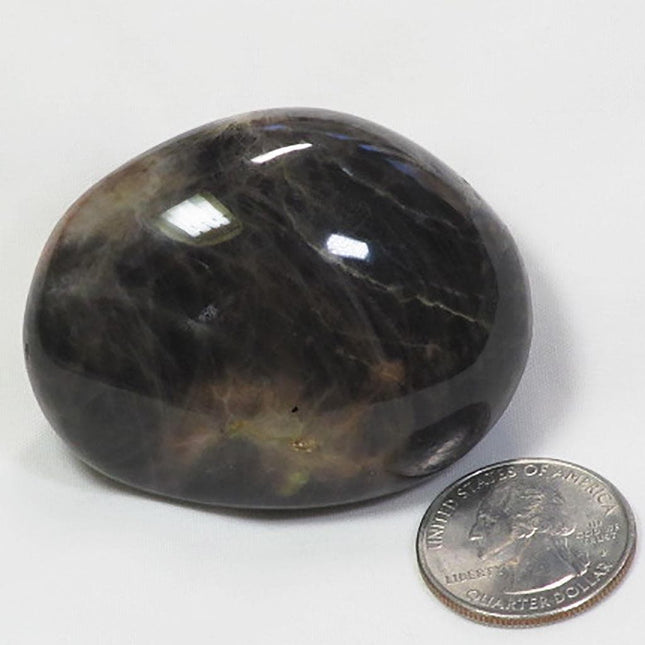 Polished Black Moonstone Palm Stone from Madagascar