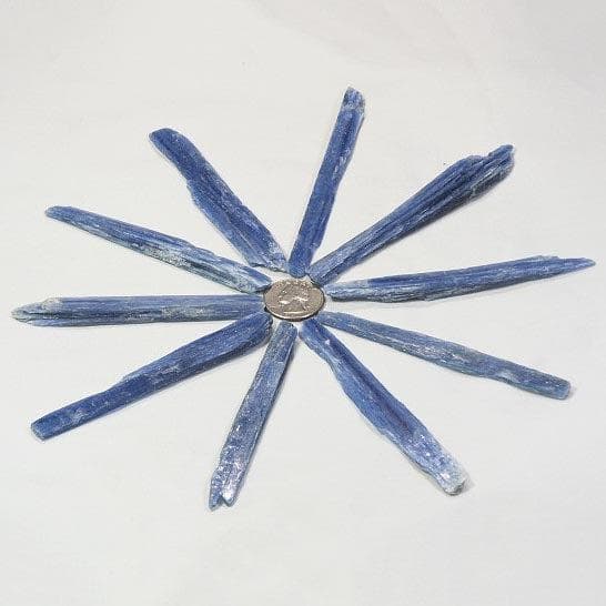 10 Blue Kyanite Blades from Brazil
