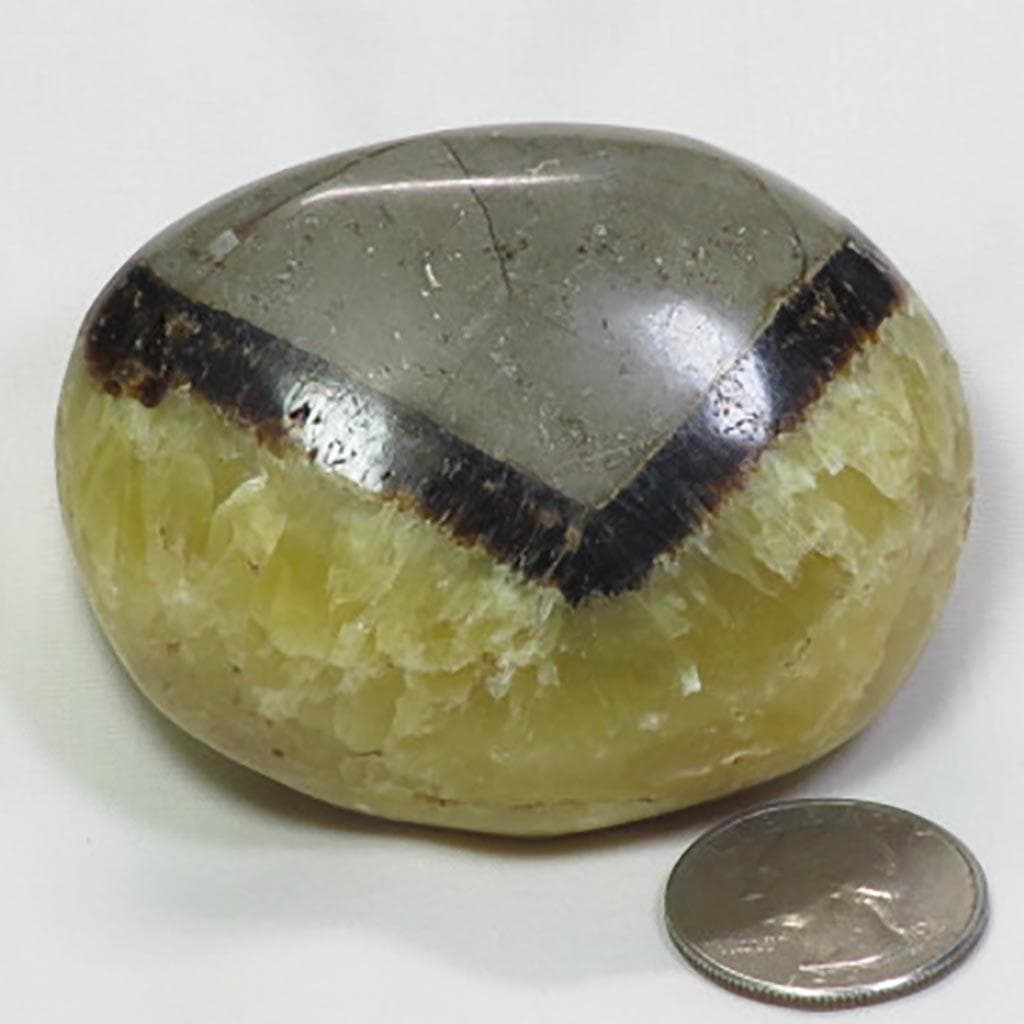 Polished Septarian Nodule Palm Stone from Madagascar
