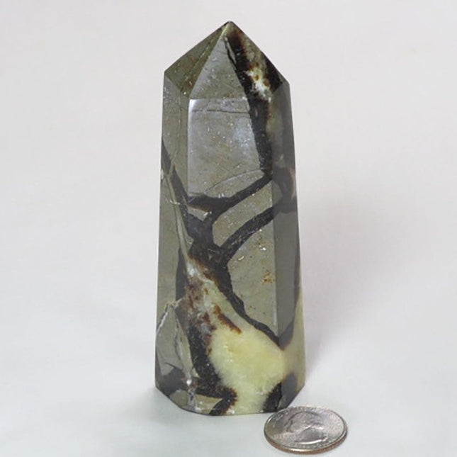 Polished Septarian Nodule Generator Point from Madagascar