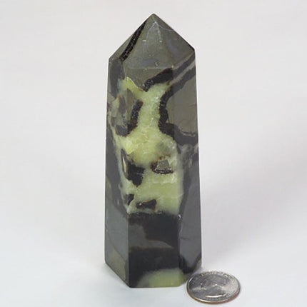 Polished Septarian Nodule Generator Point from Madagascar
