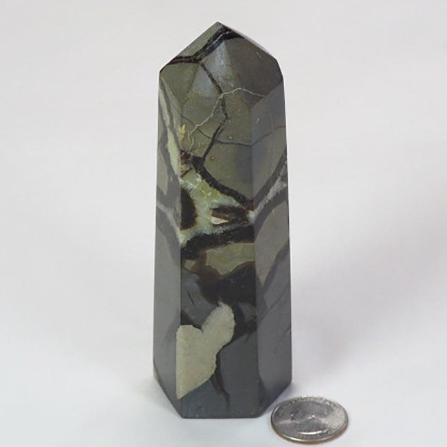 Polished Septarian Nodule Generator Point from Madagascar