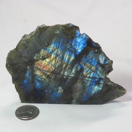 1 side Polished Slab of Labradorite from Madagascar
