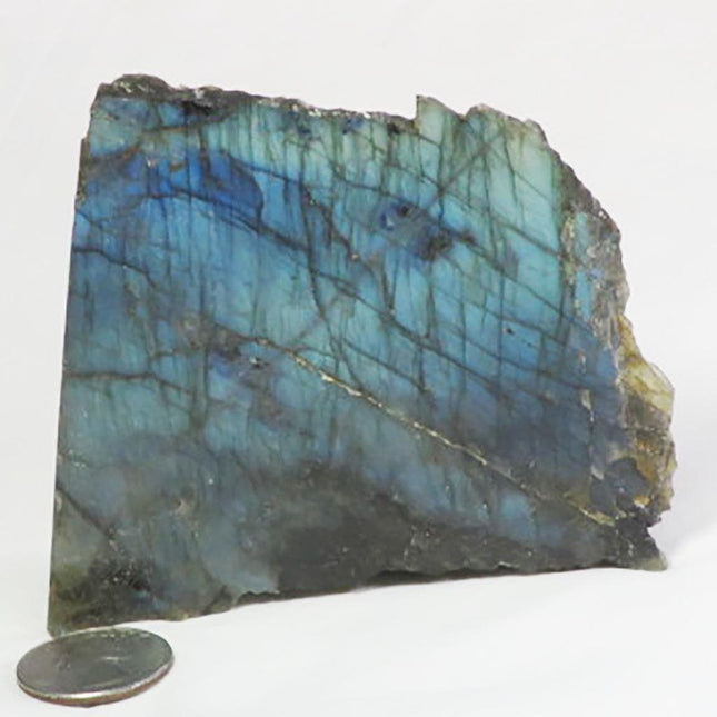 1 side Polished Slab of Labradorite from Madagascar