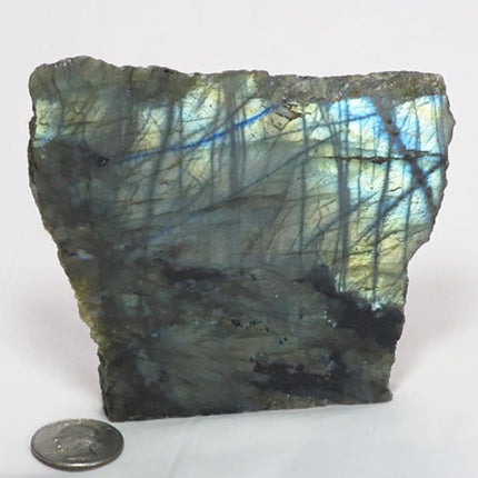 1 side Polished Slab of Labradorite from Madagascar