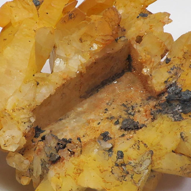 n1905 - Square Back & Goethite Coating