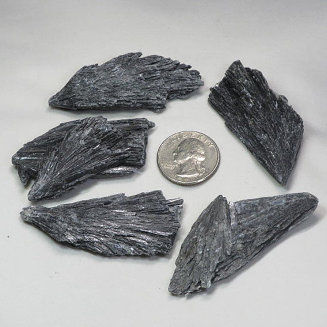 5 Black Kyanite Fans from Brazil