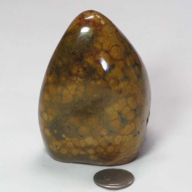 Polished Ocean Jasper Free Form from Madagascar