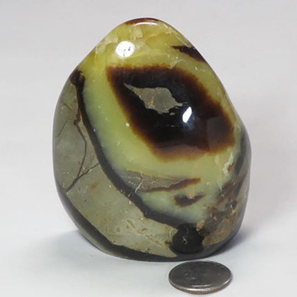 Polished Septarian Nodule Free Form from Madagascar