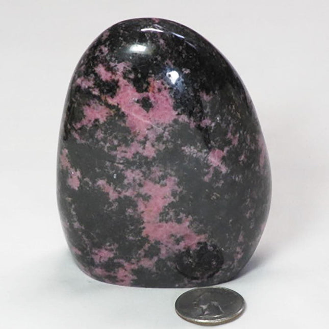 Polished Rhodonite Free Form from Madagascar