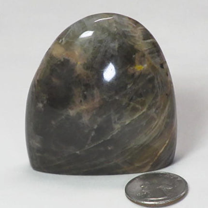 Polished Black Moonstone Free Form from Madagascar