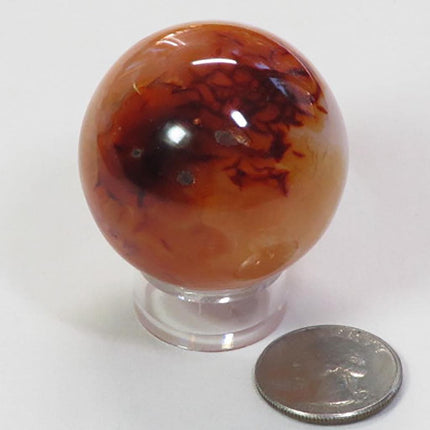 Polished Carnelian Agate Sphere Ball from Madagascar