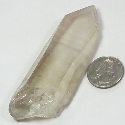 n1989 - Fantasma ahumado y de crecimiento excesivo