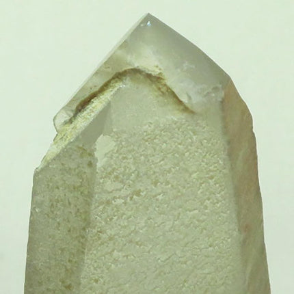 n1989 - Fantasma ahumado y de crecimiento excesivo