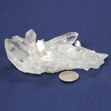 Arkansas Quartz Crystal Cluster with Manganese Included
