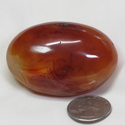 Polished Carnelian Agate Palm Stone from Madagascar