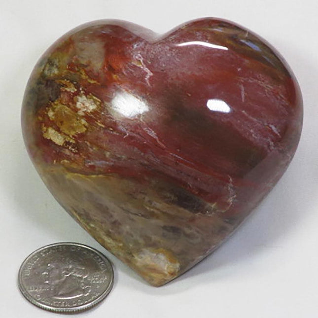 Polished Petrified Wood Heart from Madagascar
