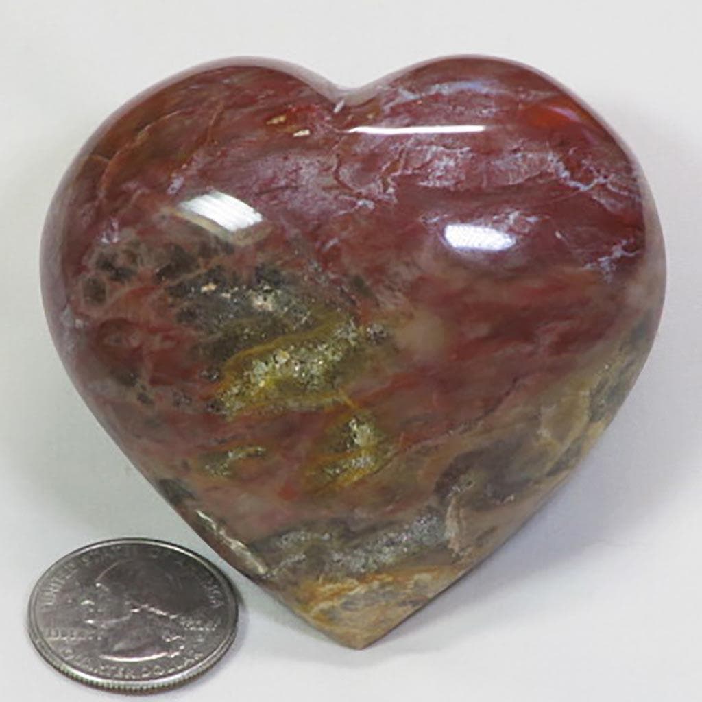 Polished Petrified Wood Heart from Madagascar