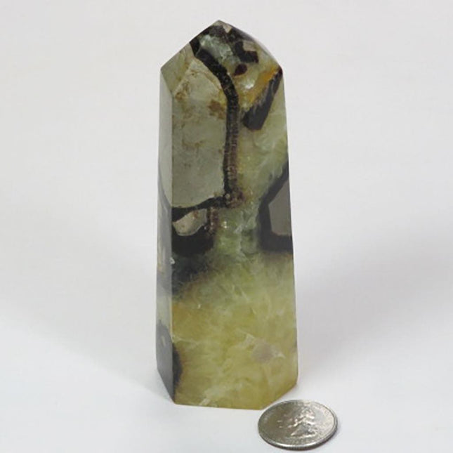Polished Septarian Nodule Generator Point from Madagascar