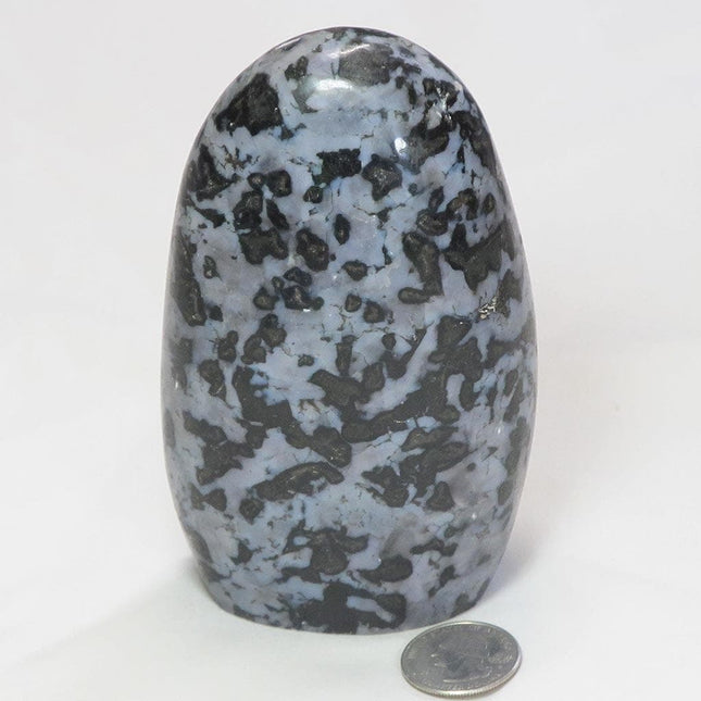 Polished Indigo Gabbro Free Form from Madagascar