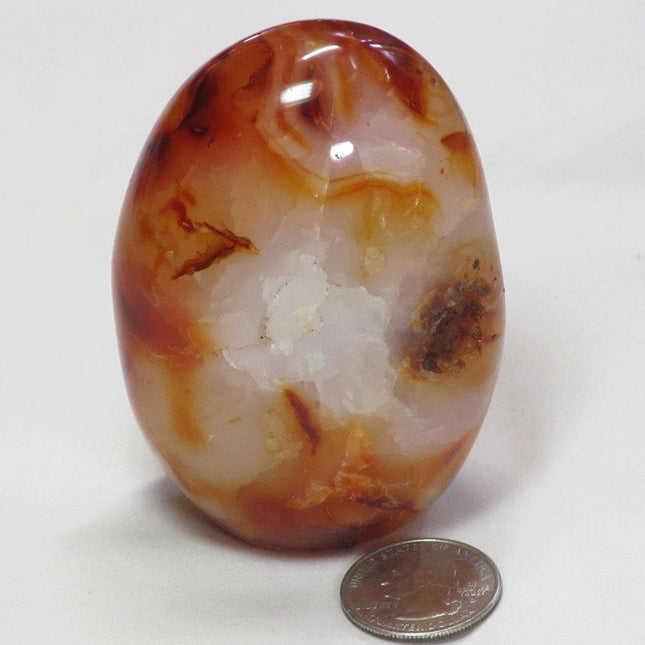 Polished Carnelian Agate Free Form from Madagascar