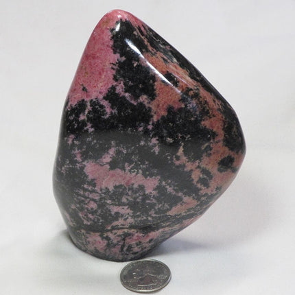 Polished Rhodonite Free Form from Madagascar