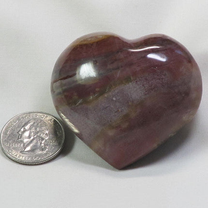 Polished Petrified Wood Heart from Madagascar