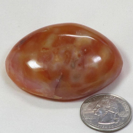 Polished Carnelian Agate Palm Stone from Madagascar