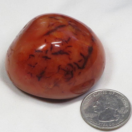 Polished Carnelian Agate Palm Stone from Madagascar