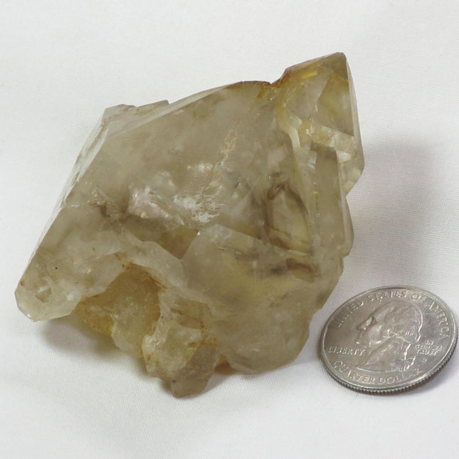 Smoky Quartz Elestial Sceptre Head from Brazil