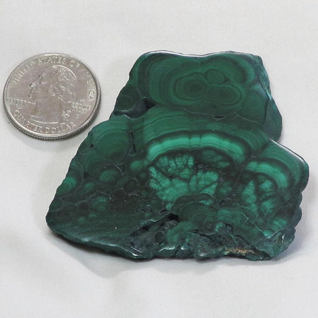 Polished Malachite Slice from Democratic Republic of the Congo