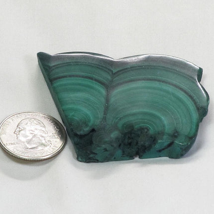 Polished Malachite Slice from Democratic Republic of the Congo