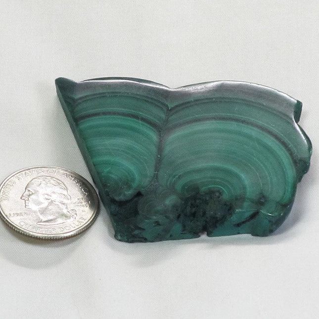 Polished Malachite Slice from Democratic Republic of the Congo